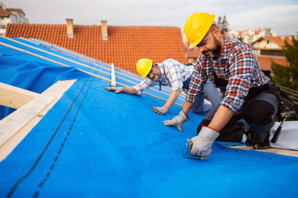 Best Roof Moss and Algae Removal  in Abbeville, LA